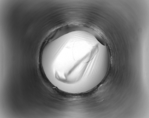 X0000088090438200706081753