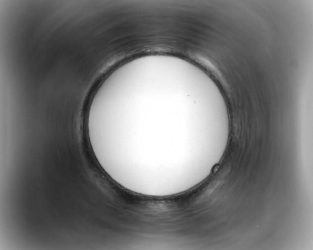X0000088090439200706081753