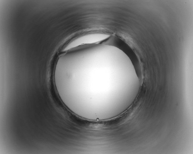 X0000088090440200706081753