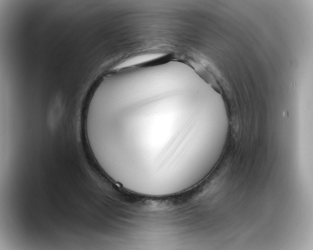X0000088090442200706081753