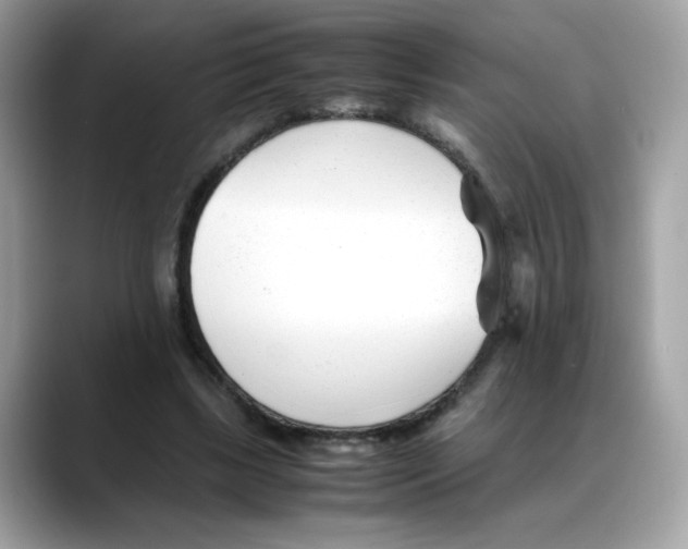X0000088090443200706081753