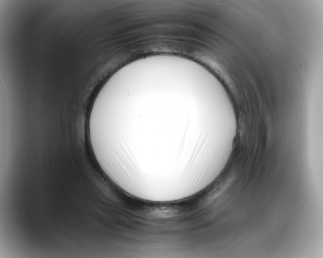 X0000088090445200706081753