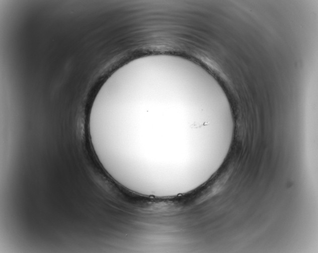X0000088090446200706081753