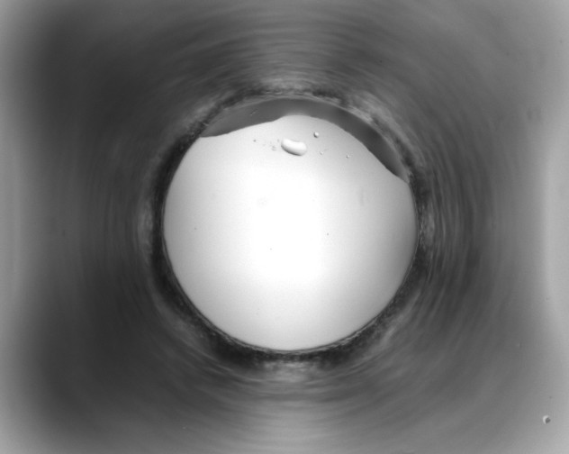 X0000088090448200706081753