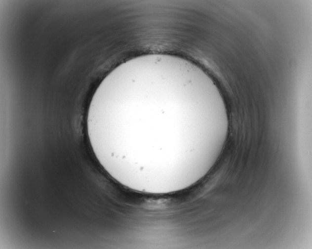 X0000088090450200706081753