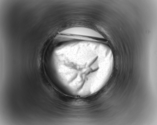 X0000088090451200706081753