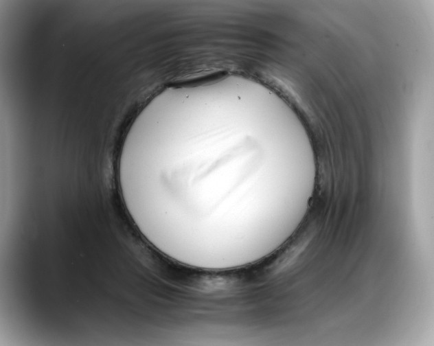 X0000088090453200706081753