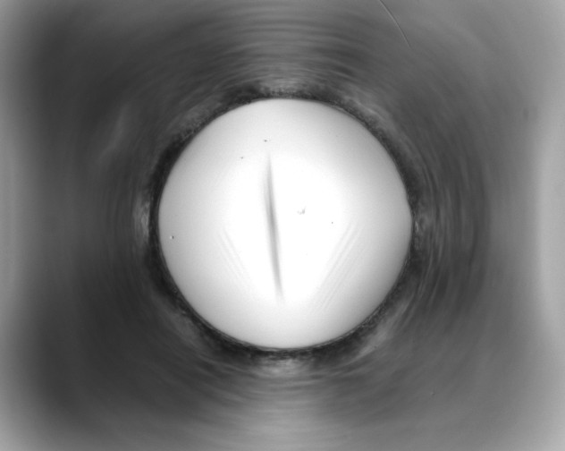 X0000088090454200706081753