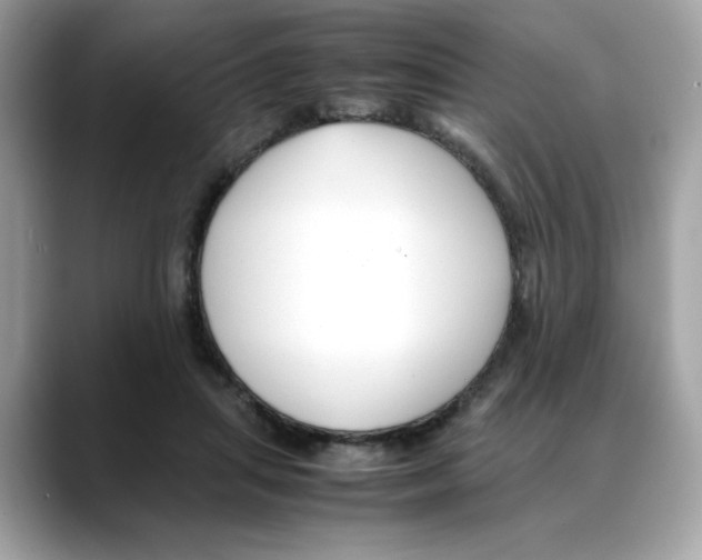 X0000088090455200706081753