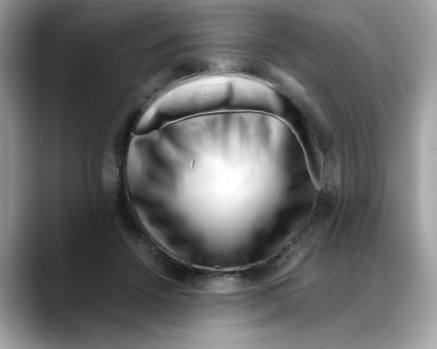 X0000088090456200706081753