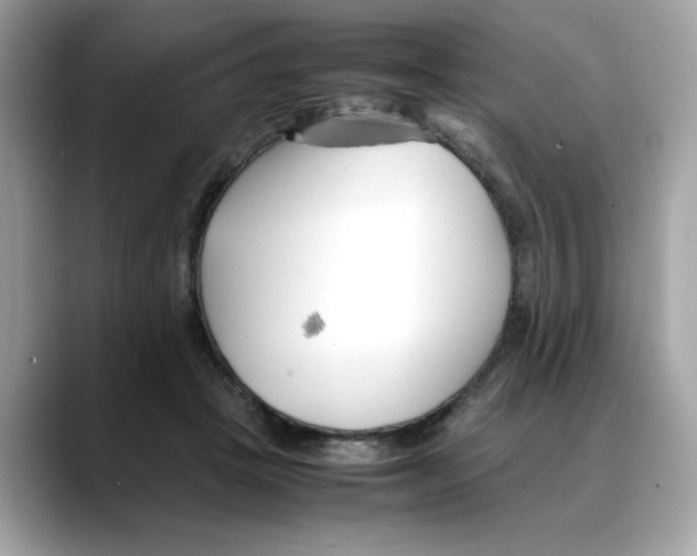 X0000088090457200706081753