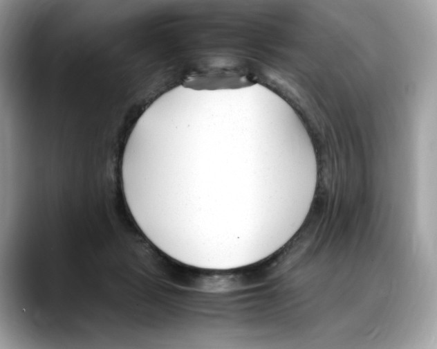 X0000088090461200706081753