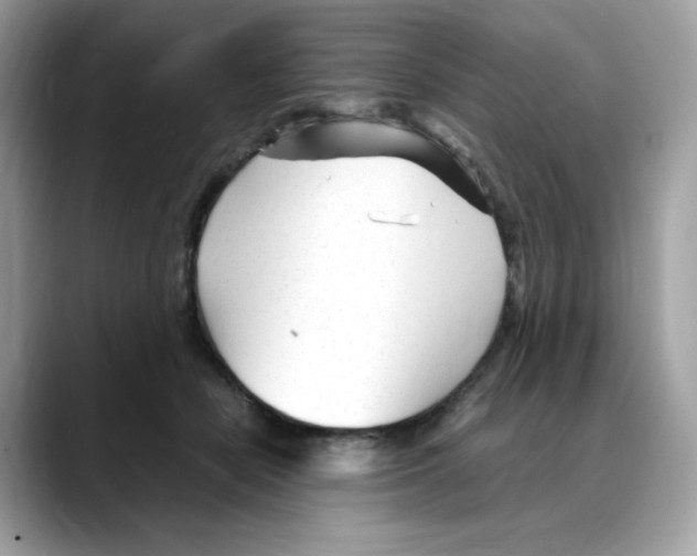 X0000088090462200706081753
