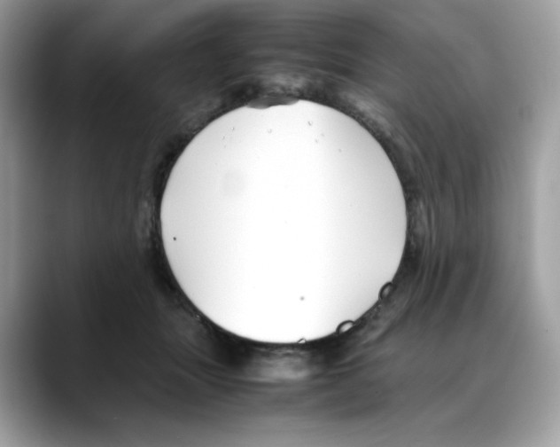X0000088090463200706081753