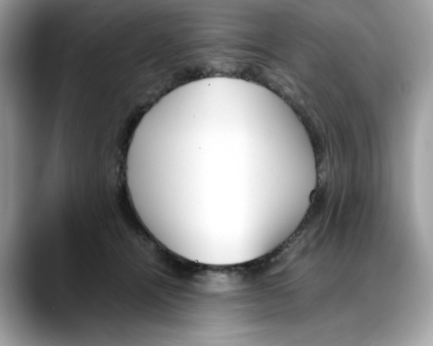 X0000088090464200706081753