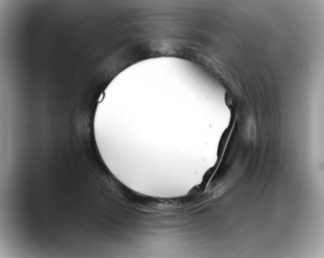 X0000088090466200706081753