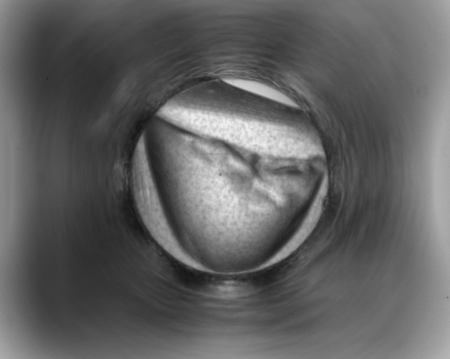 X0000088090467200706081753