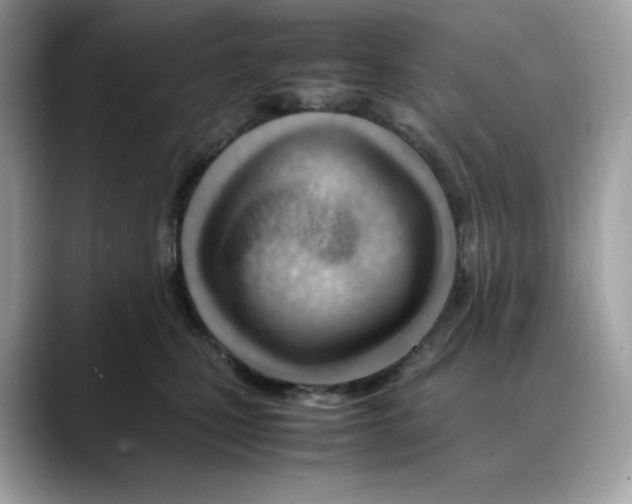 X0000088090471200706081753