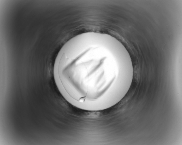X0000088090474200706081754