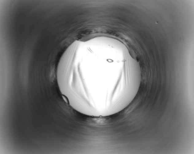 X0000088090478200706081754