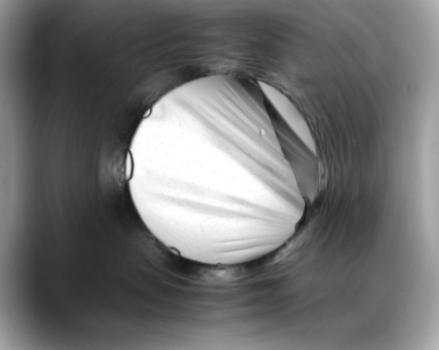 X0000088090479200706081754