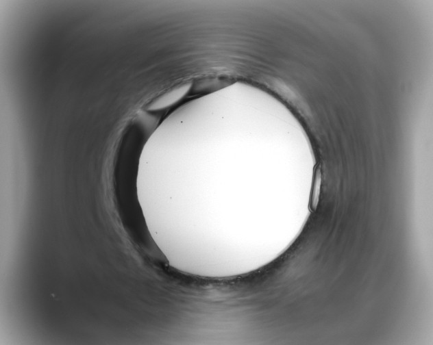 X0000088090481200706081753