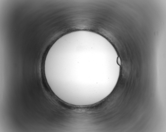 X0000088090482200706081753