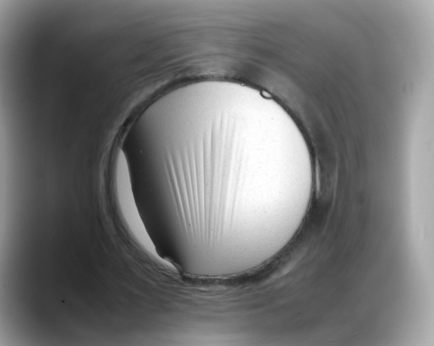 X0000088090483200706081753