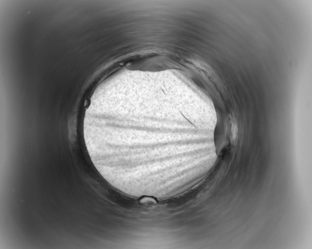 X0000088090484200706081753