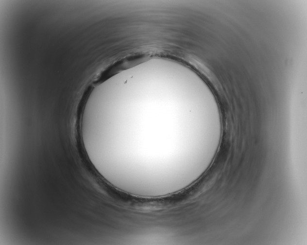 X0000088090485200706081753