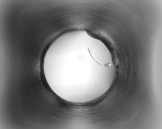 X0000088090486200706081753