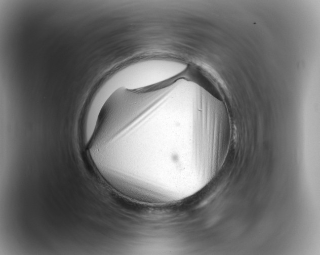X0000088090487200706081753