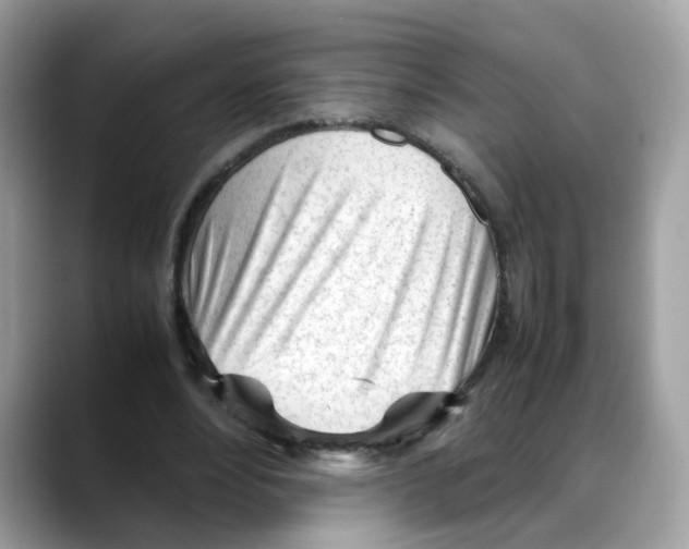 X0000088090488200706081753