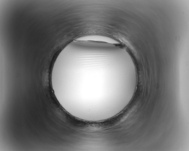 X0000088090489200706081753