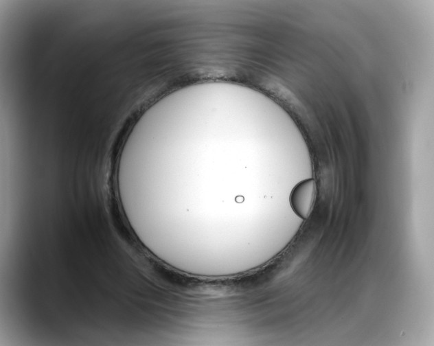 X0000088090490200706081753