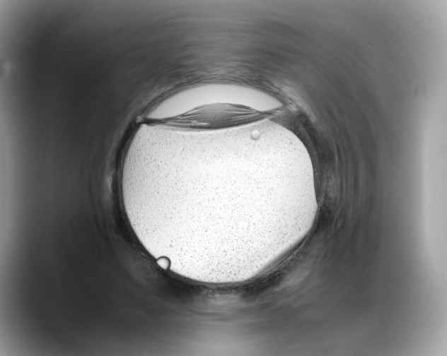 X0000088090491200706081753