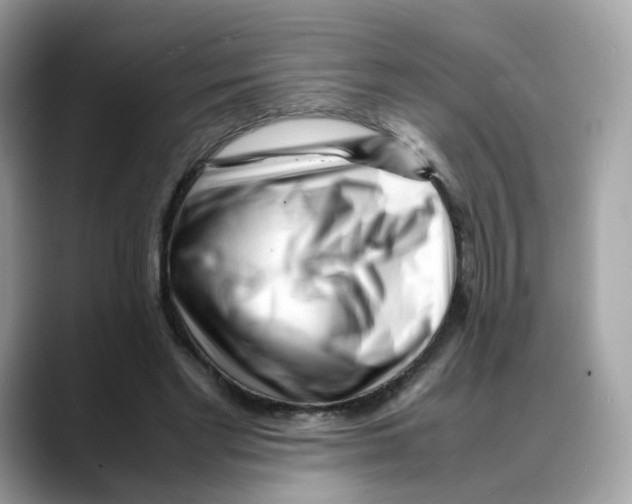 X0000088090493200706081753