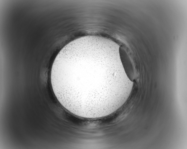 X0000088090495200706081753