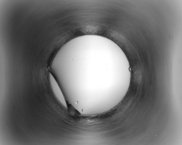 X0000088090498200706081753