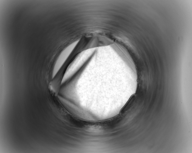 X0000088090500200706081753