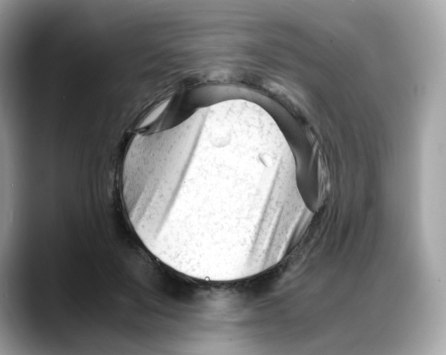 X0000088090503200706081753