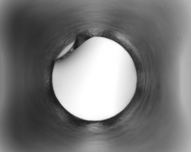 X0000088090505200706081753