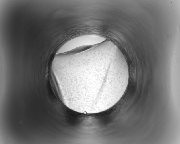 X0000088090507200706081753