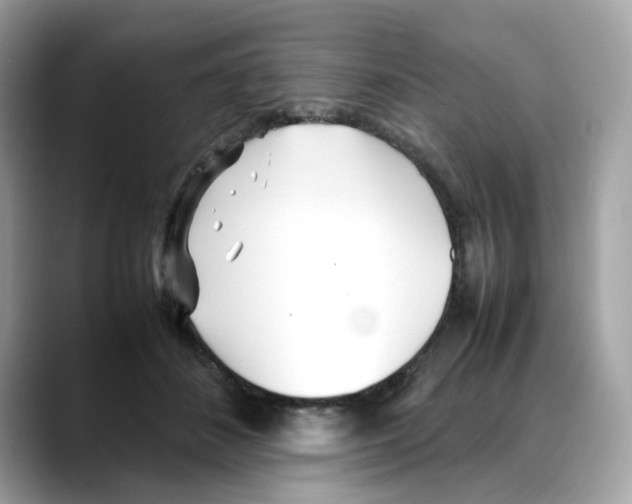 X0000088090508200706081753