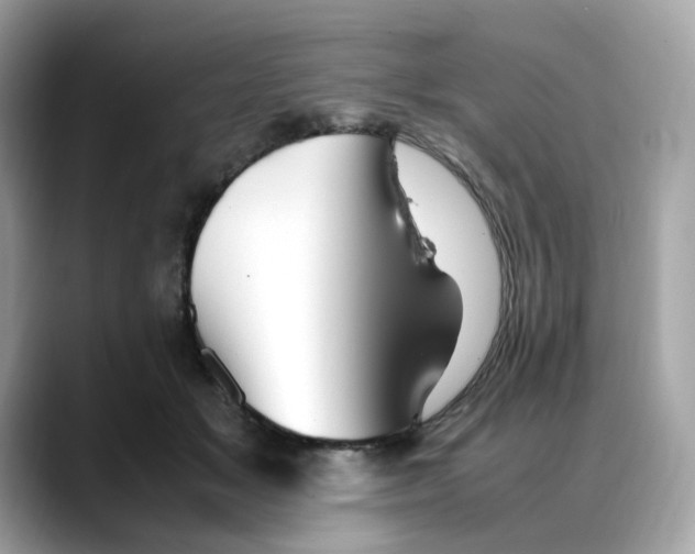 X0000088090509200706081753