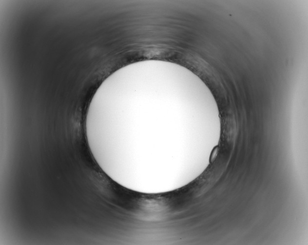 X0000088090510200706081753