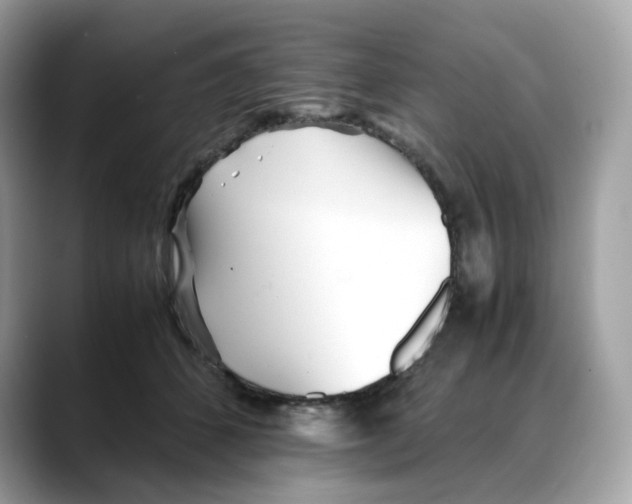 X0000088090512200706081753