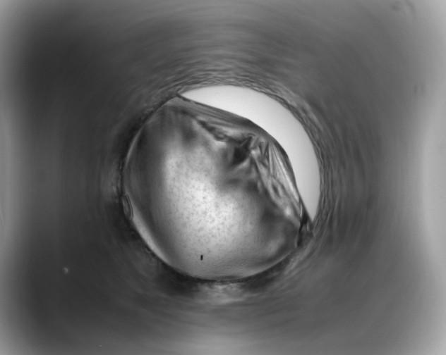 X0000088090517200706081753