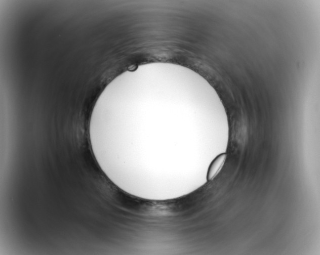 X0000088090518200706081752