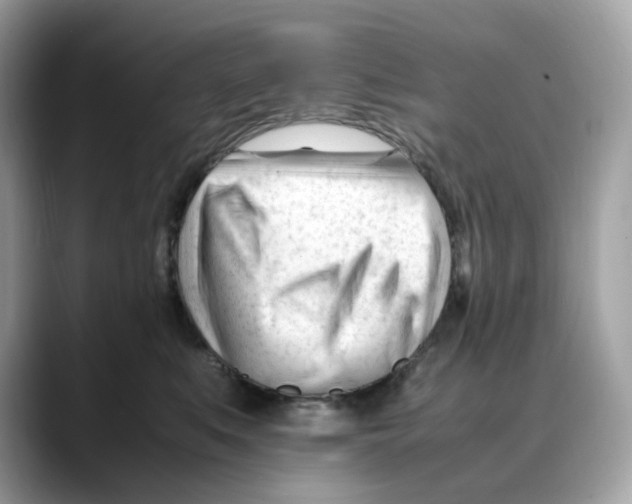 X0000088090519200706081752